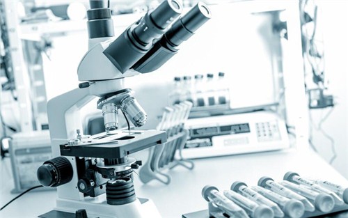 宜昌非標自動化設備哪家強,自動化設備