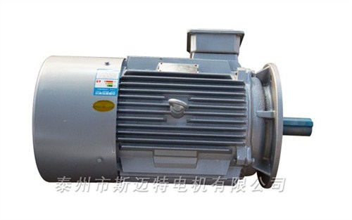 大豐高壓電機,電機