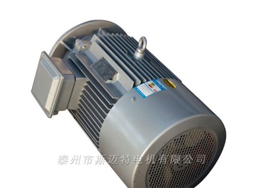 大豐高壓電機,電機