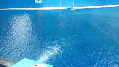樂山恒溫游泳池水處理設備廠家,游泳池水處理
