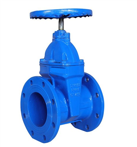 正宗橡膠瓣止回閥專業團隊在線服務,橡膠瓣止回閥