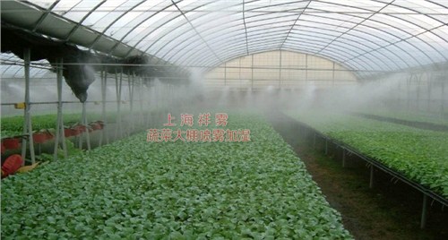 甘肅噴霧加濕機哪家便宜,噴霧加濕