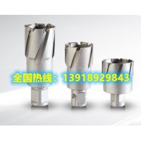 供應高質量硬質合金空心鉆，規格多