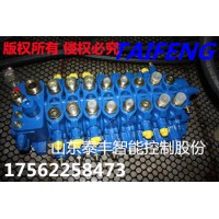 泰豐TRM20-BX-04-XYZL-01多路換向閥